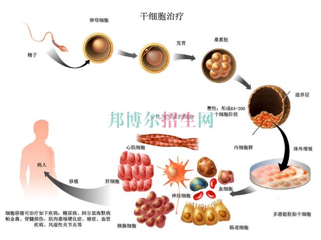 成都設(shè)有臨床醫(yī)學(xué)的公辦大專學(xué)校